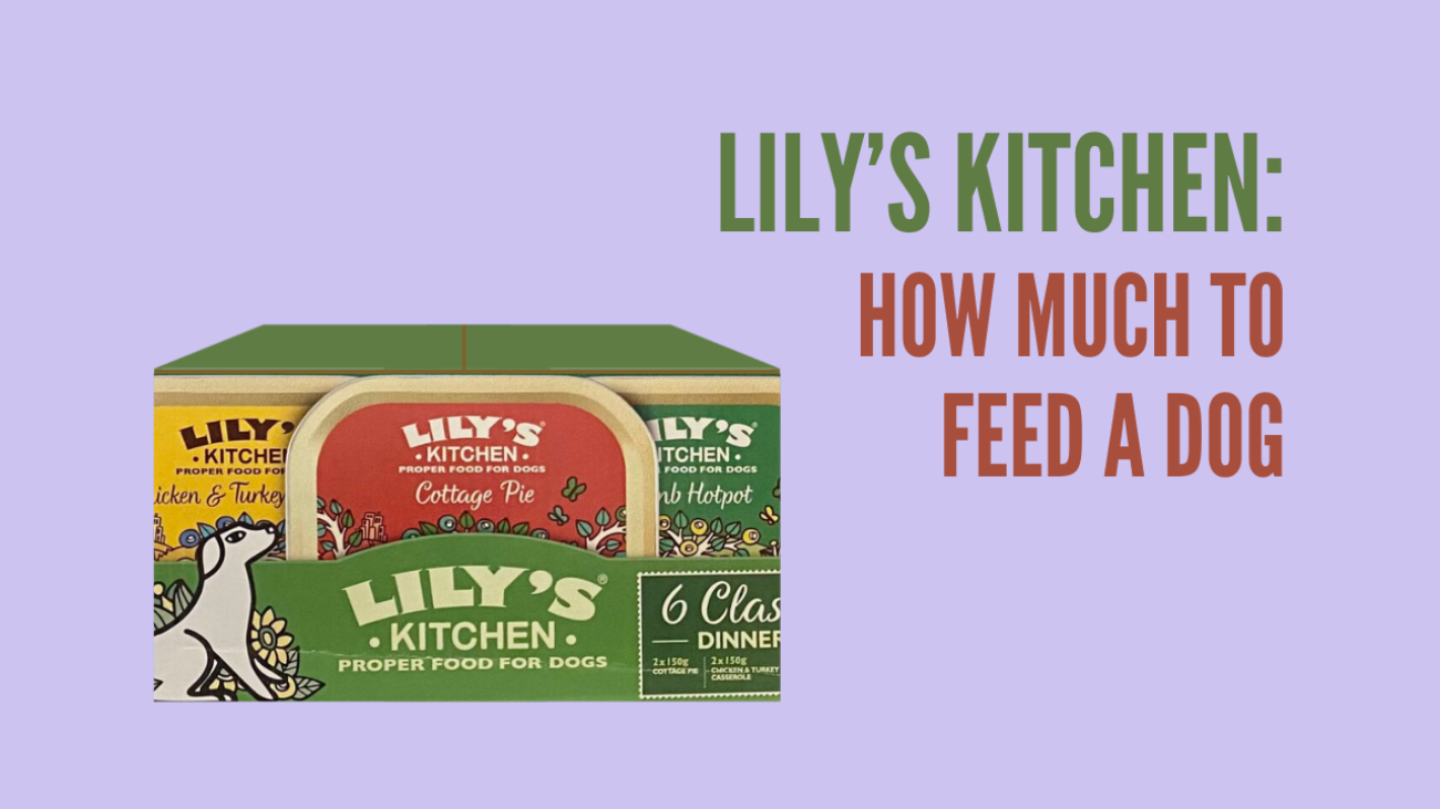 Lily’s Kitchen How Much to Feed a Dog