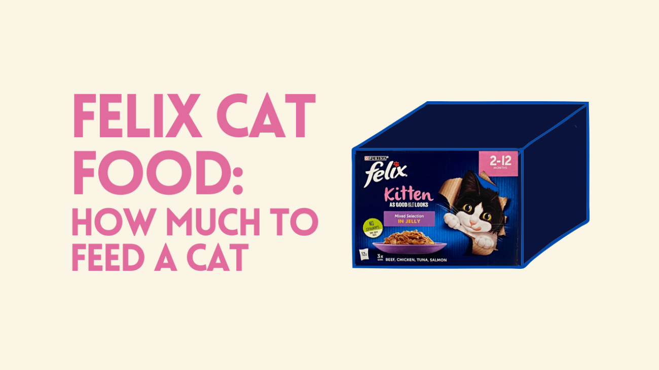 Felix Cat Food How Much to Feed a Cat