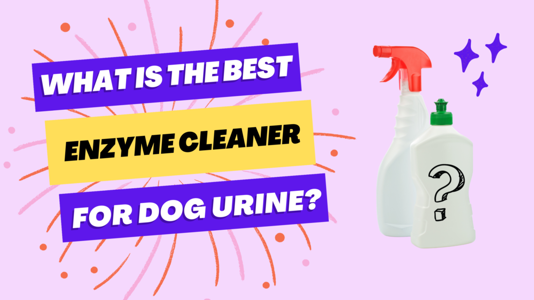 Best Enzyme Cleaner for Dog Urine UK
