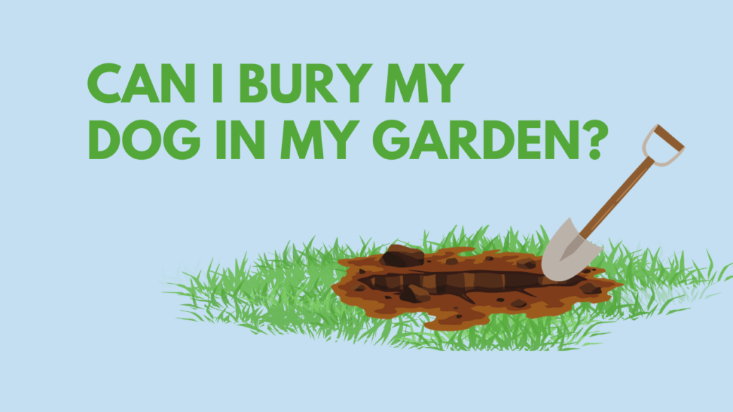 Can I Bury My Dog in My Garden
