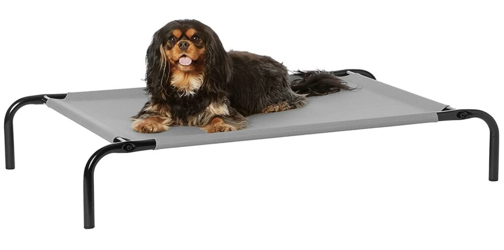 Amazon Basics dog bed
