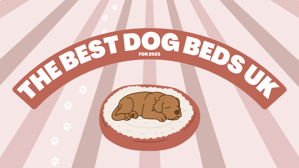 Best Dog Beds UK