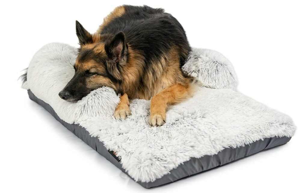 Best Friends dog bed