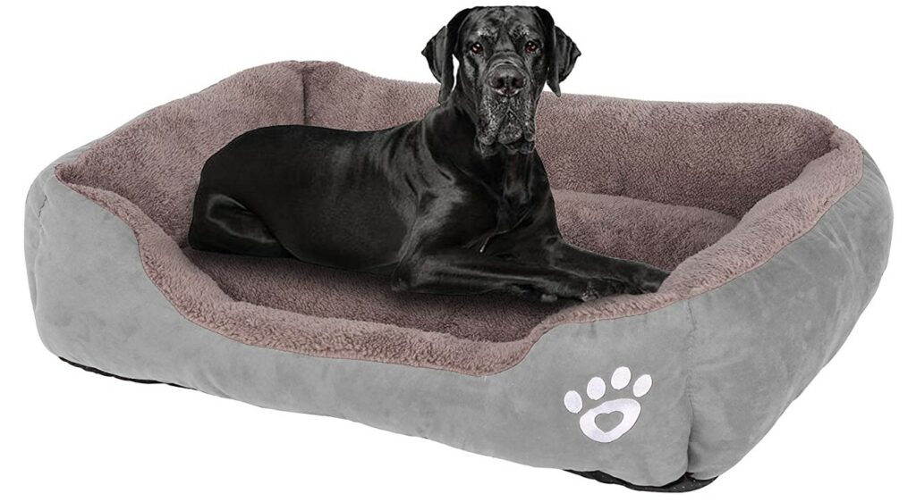 GoFirst dog bed