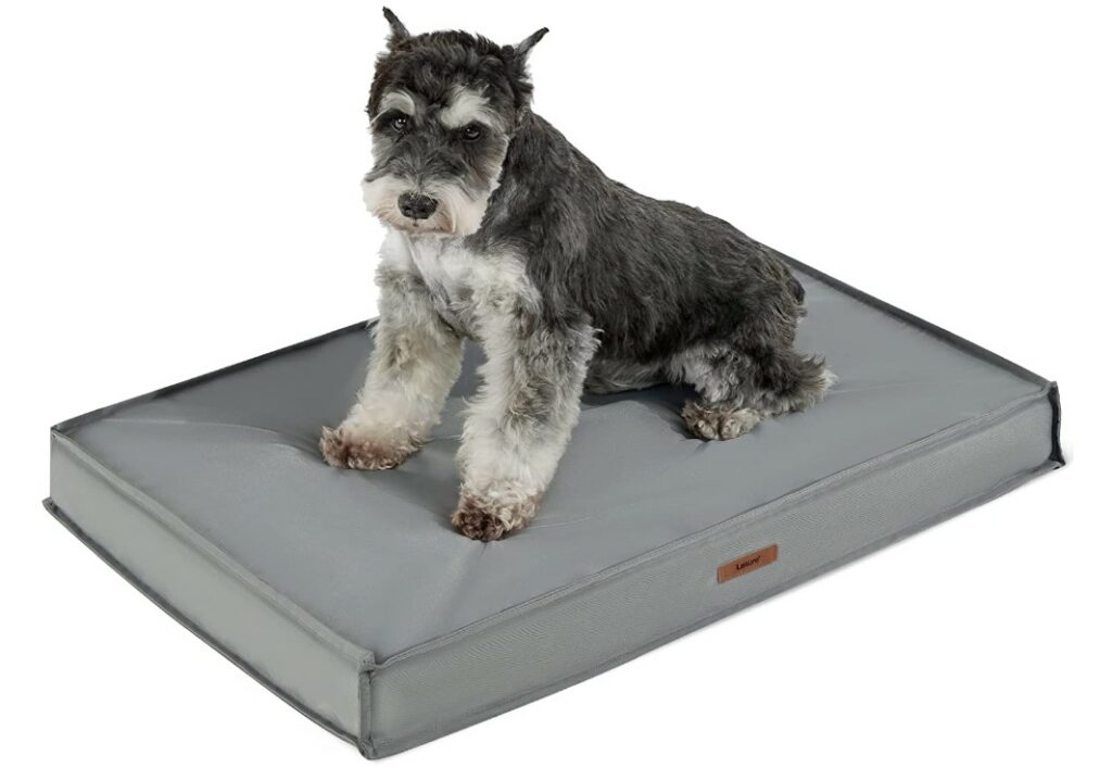 Lesure dog bed