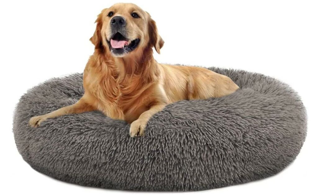 Mfox dog bed