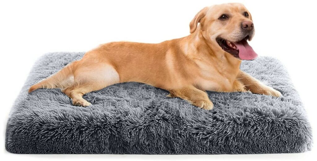 Petcute dog bed