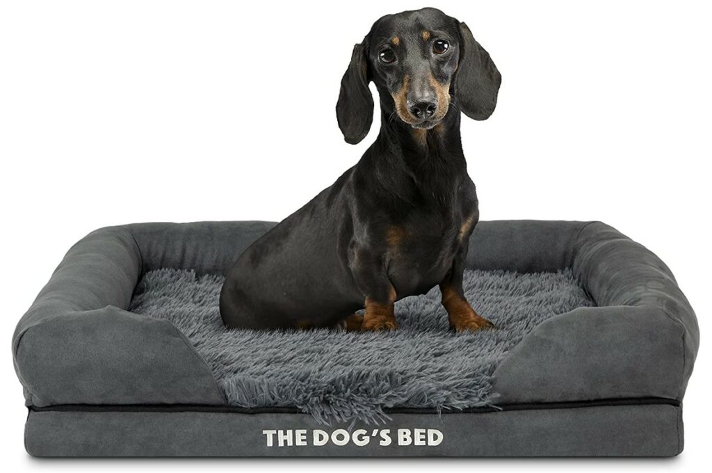 The Dog's Bed dog bed