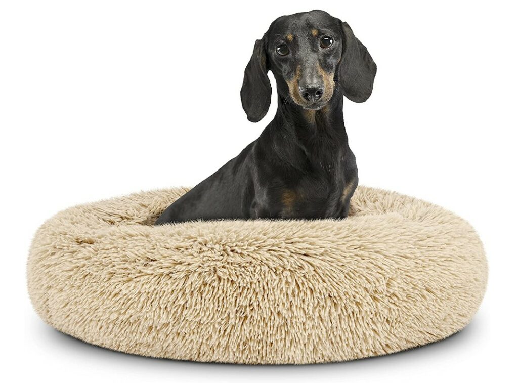 The Dog's Bed donut bed