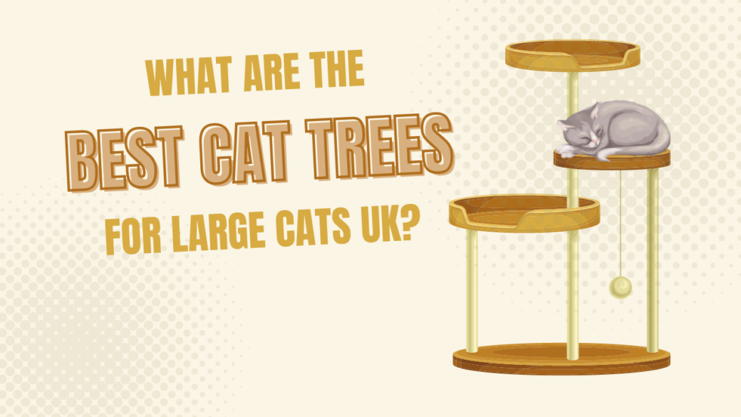 What are the Best Cat Trees for Large Cats UK