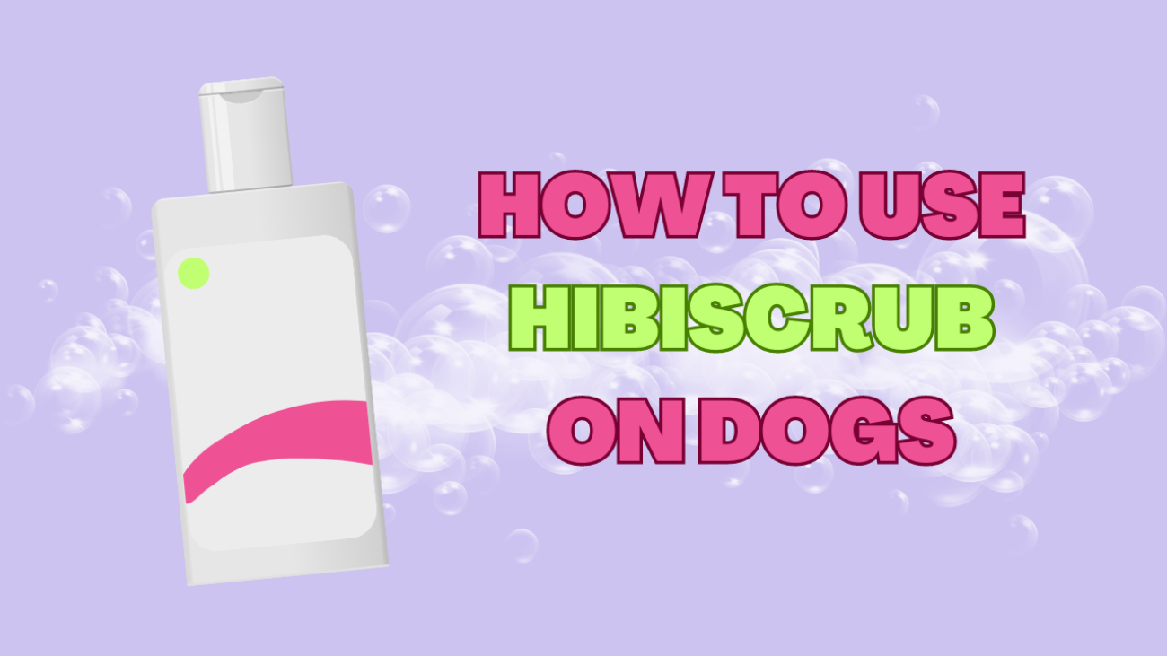 How to Use Hibiscrub on Dogs