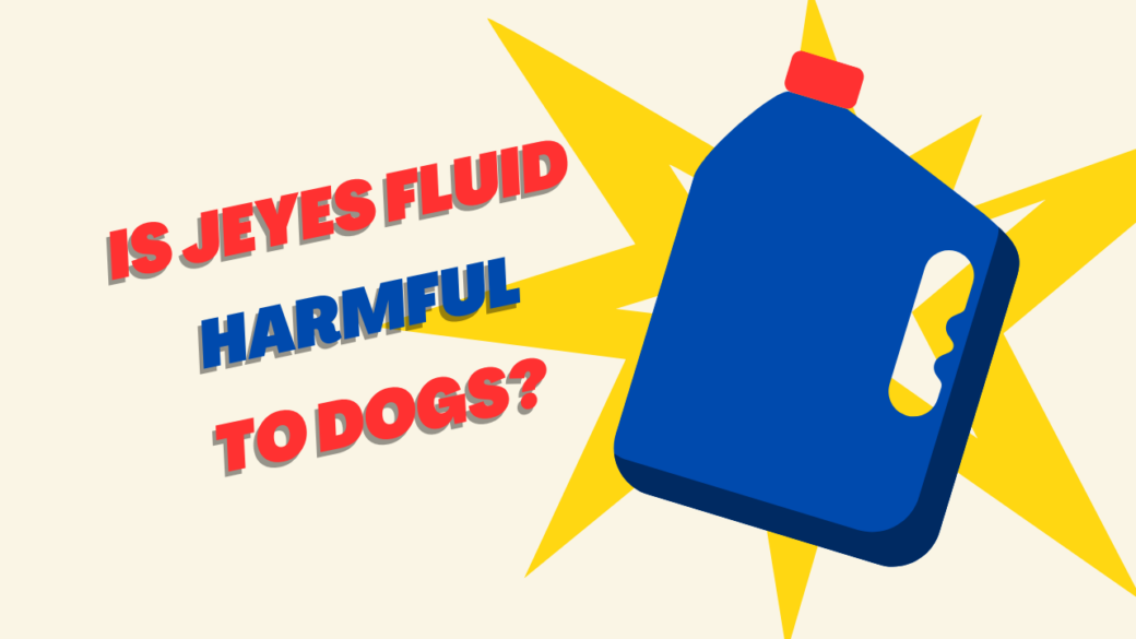 Is Jeyes Fluid Harmful to Dogs
