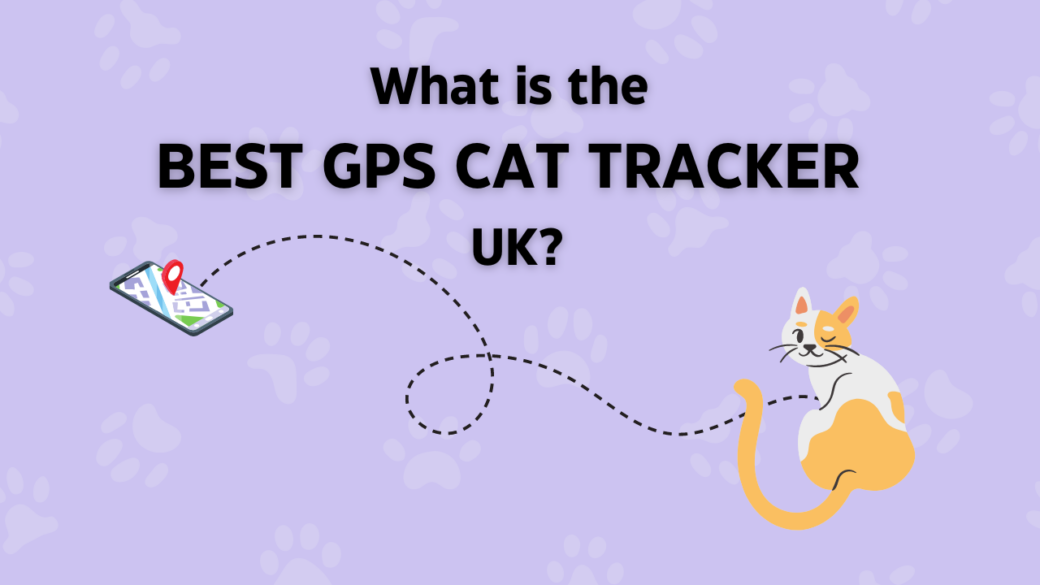 What is the Best GPS Cat Tracker UK