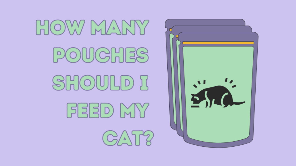 How Many Pouches Should I Feed My Cat?