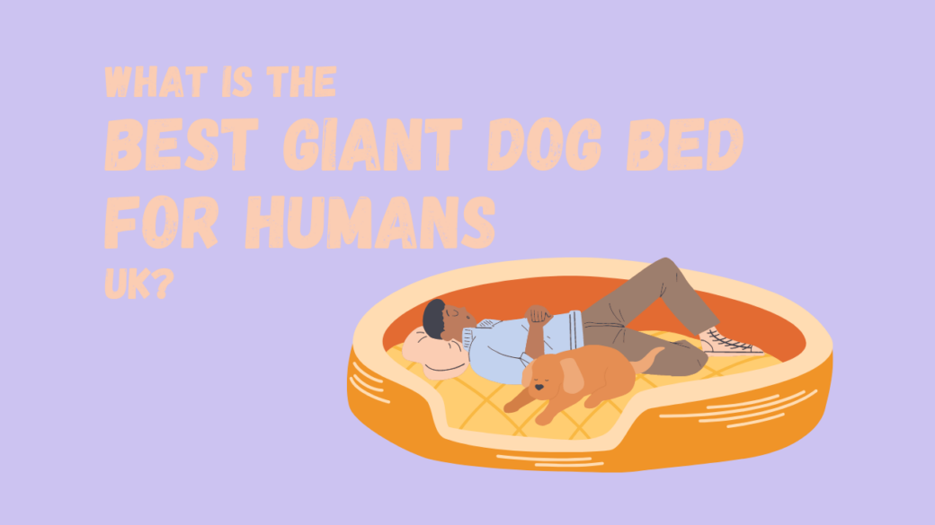 What is the Best Giant Dog Bed for Humans UK
