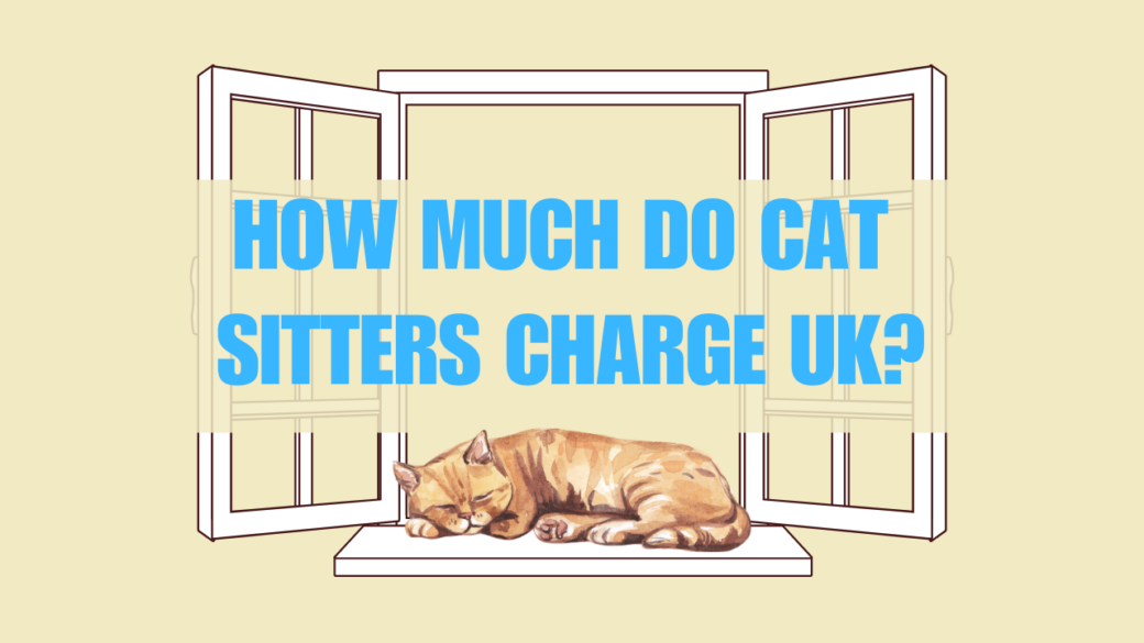how much do cat sitters charge UK