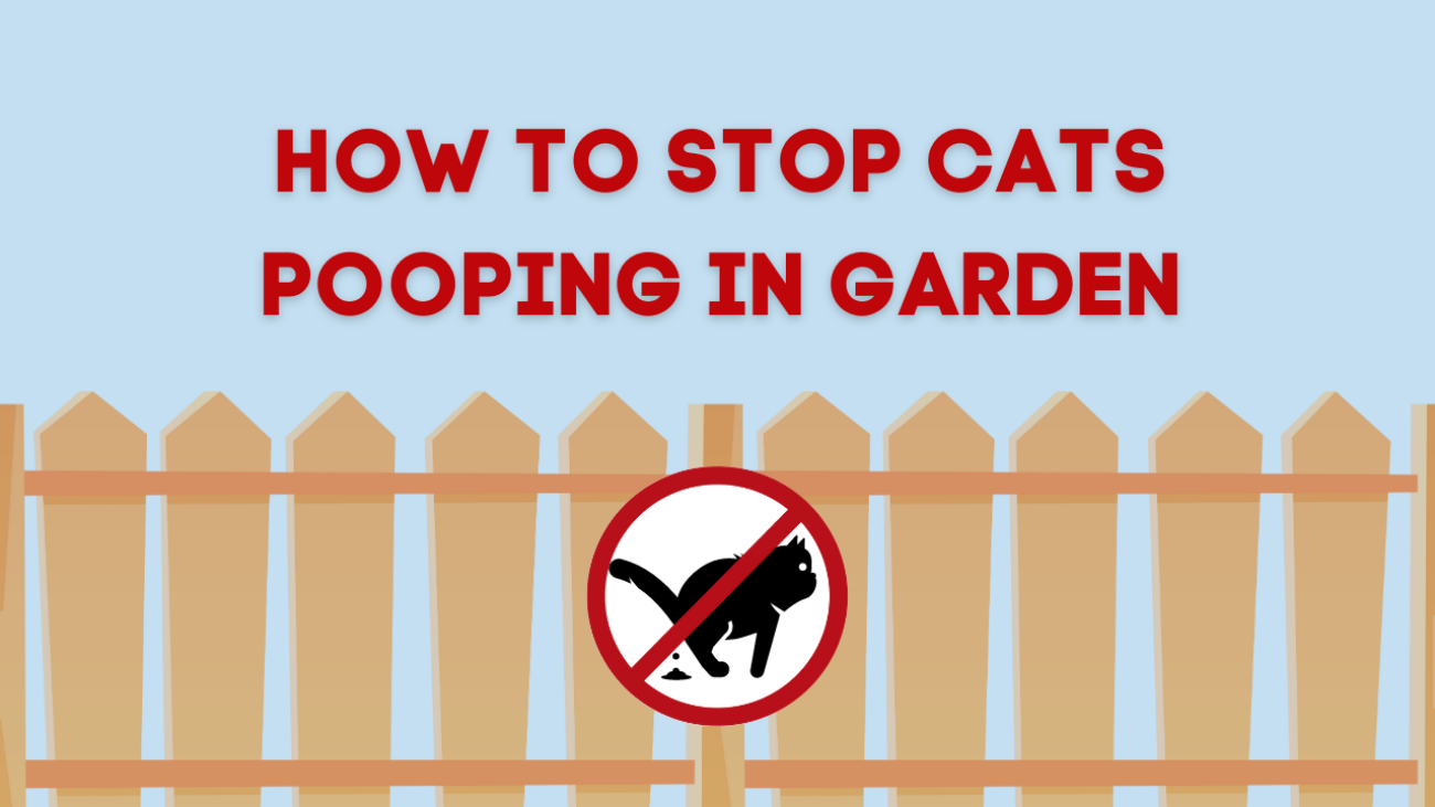 how to stop cats pooping in garden