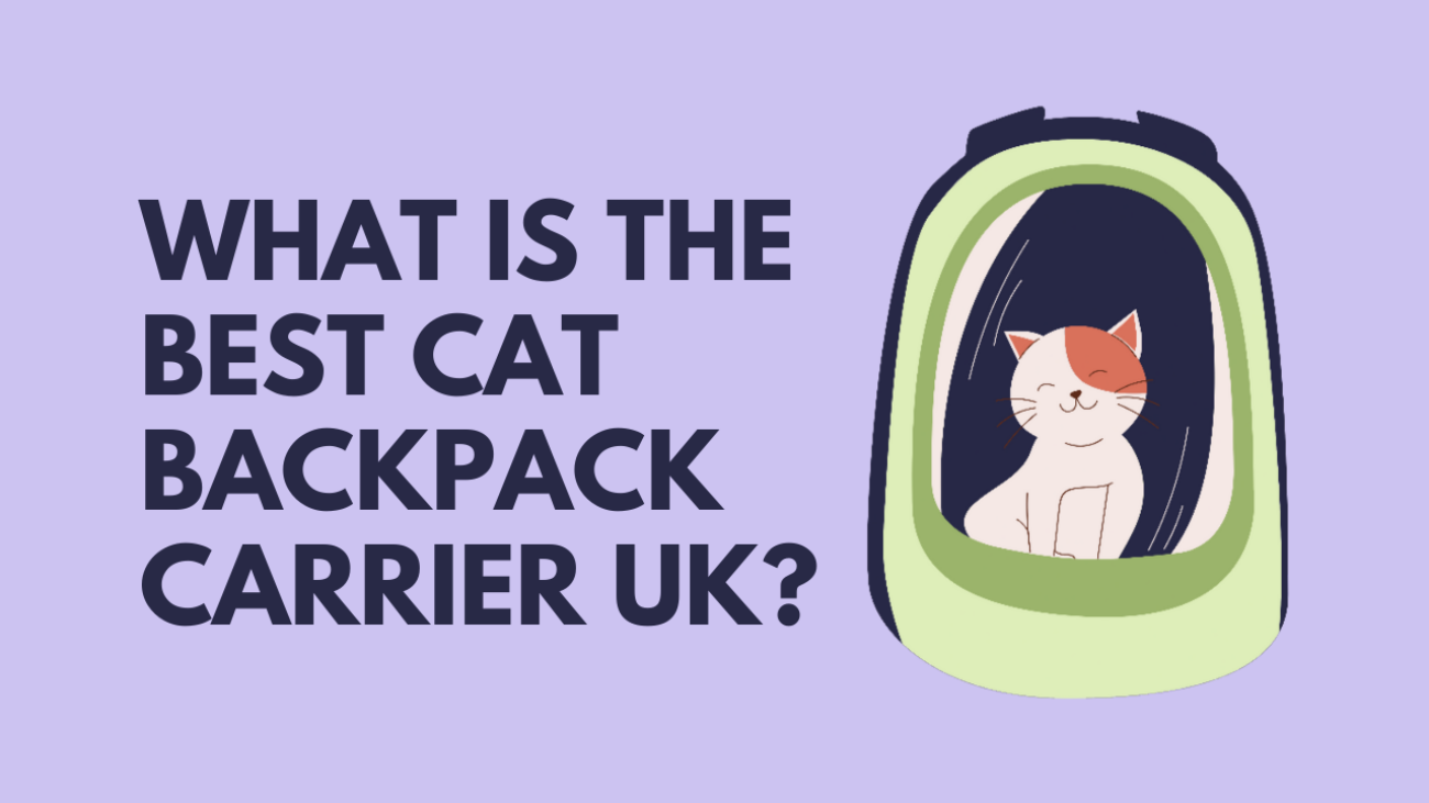best cat backpack carrier uk