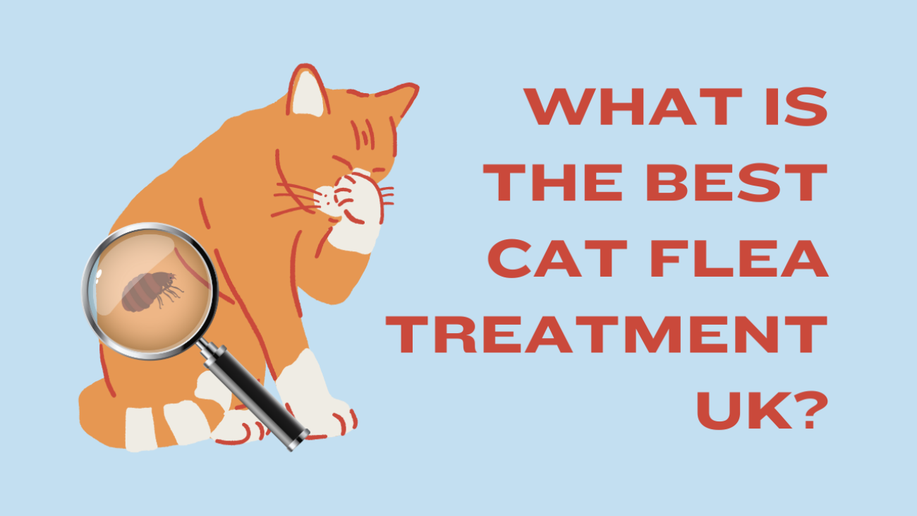 best cat flea treatment uk