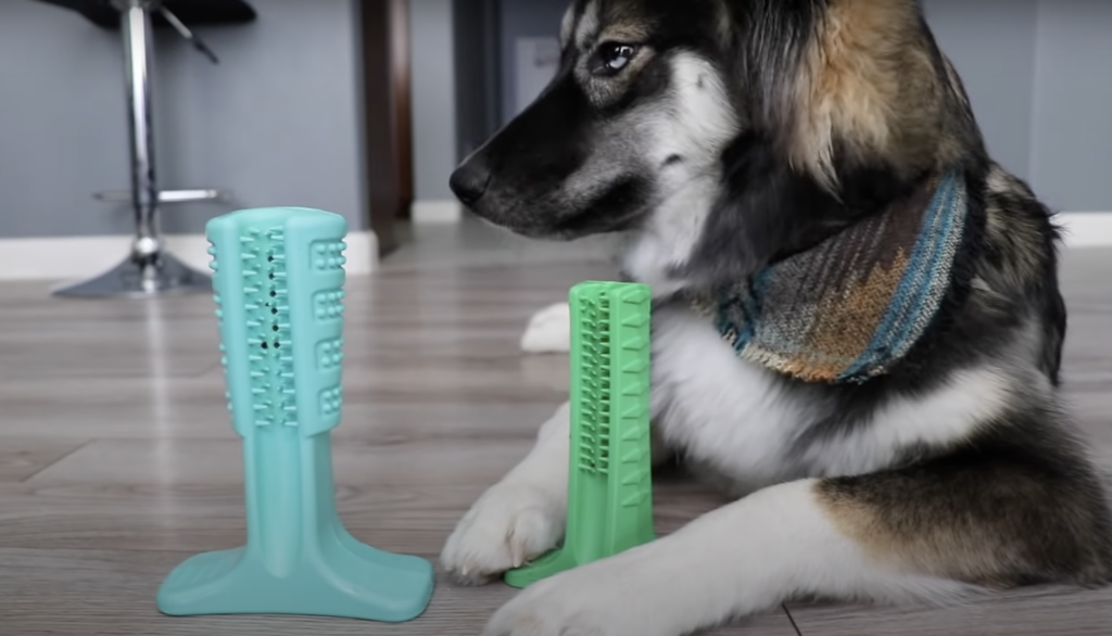 how to clean dog teeth without brushing - dog chew toys
