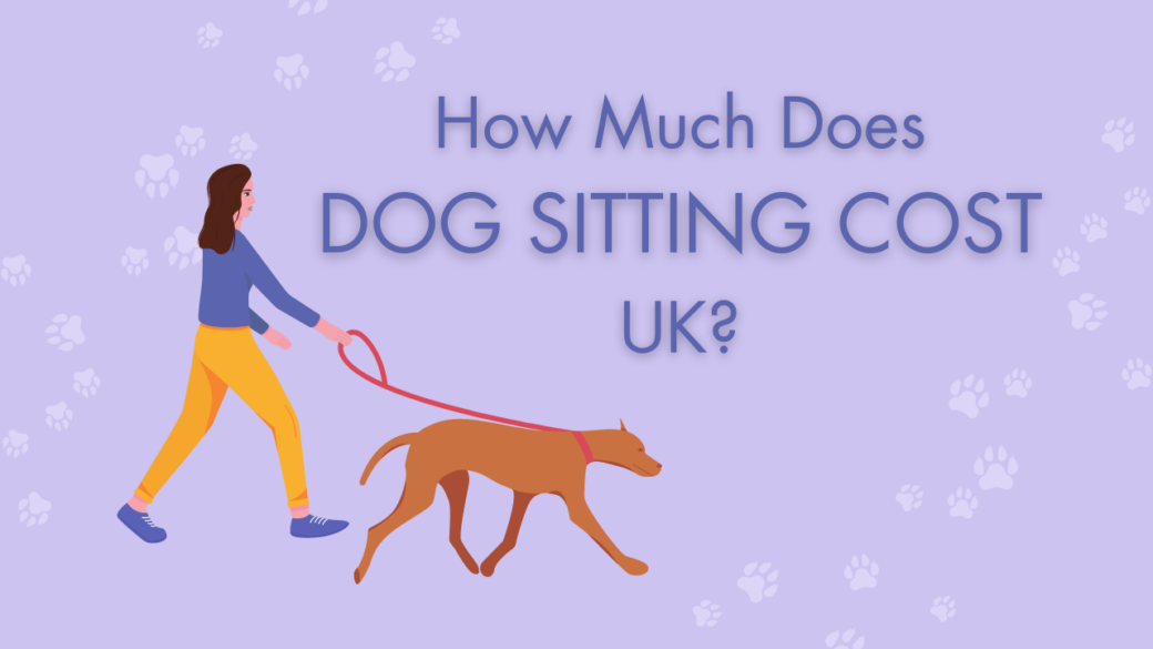 how much does dog sitting cost uk