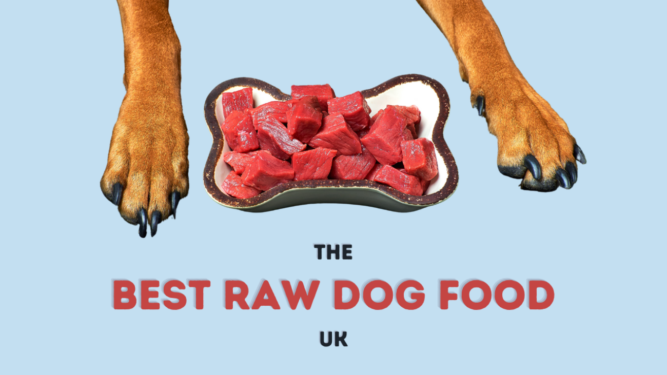 best raw dog food uk