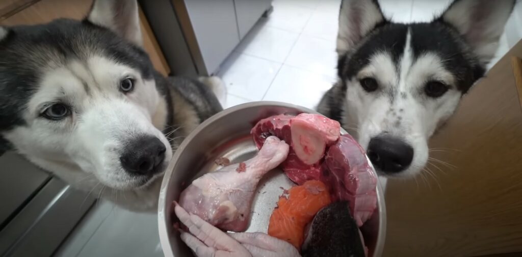 best raw dog food uk - two huskies with a bowl of raw meat