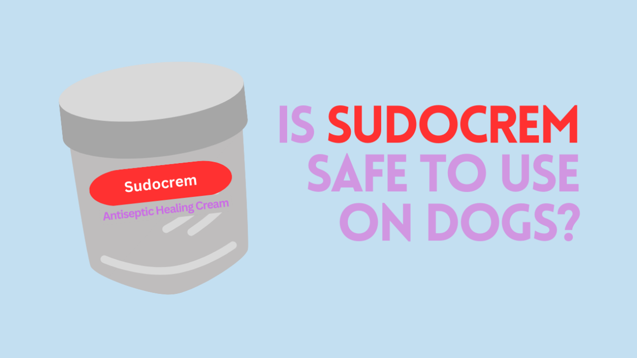 Can You Put Sudocrem On Dogs