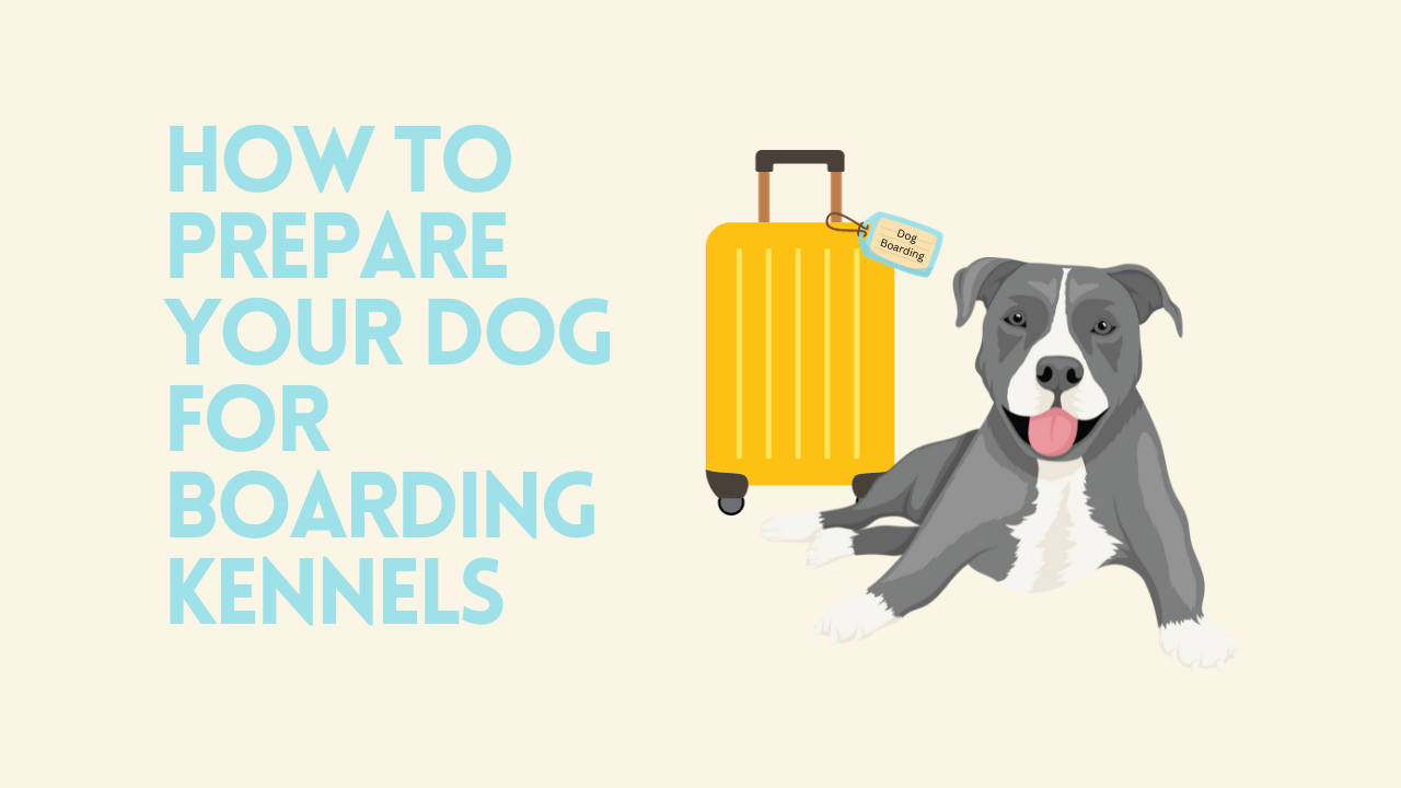 How to Prepare Your Dog for Boarding Kennels