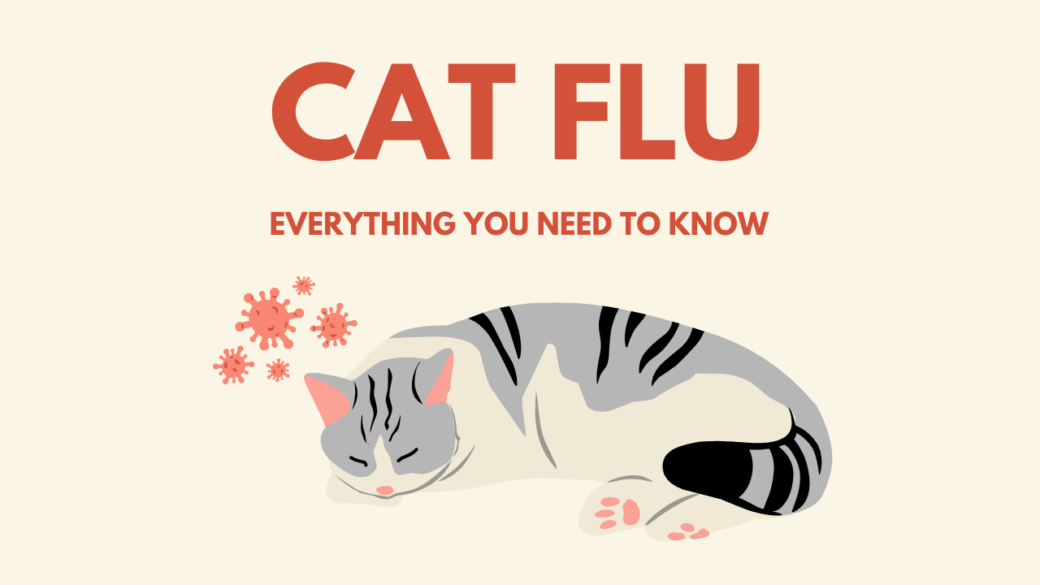 cat flu virus