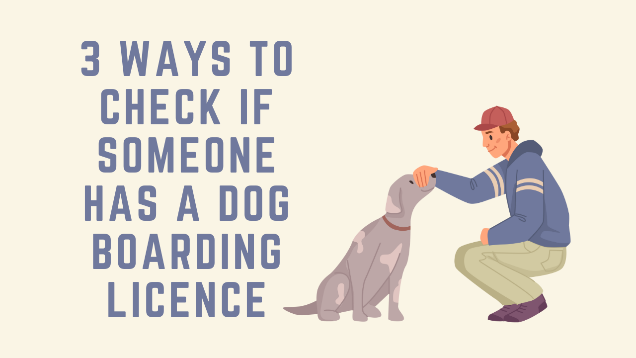 3 Ways to Check If Someone Has a Dog Boarding Licence