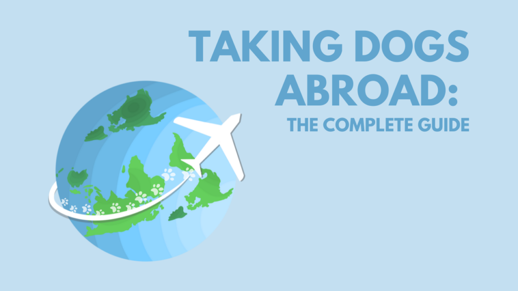 taking dogs abroad complete guide