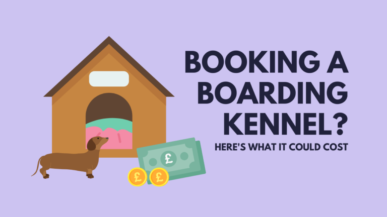 boarding kennel cost
